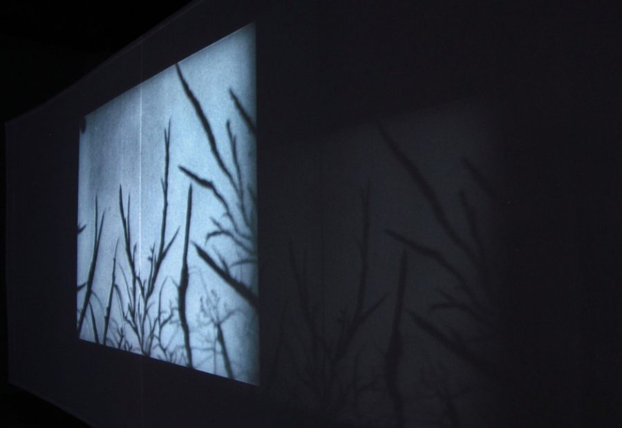 Bauhausfilm.sebagarrido4